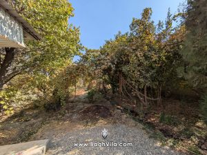 باغچه با سند تک برگ شش دانگ داخل بافت با مجوز ویلا مثل جنگل