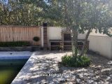 باربیکیو