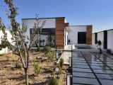 حیاط ویلای مدرن
