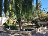 حیاط ویلا