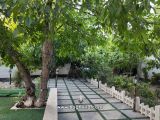 حیاط نمای درختان و آبنما