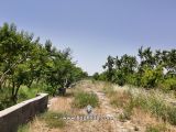 خیابان شهرک باغچه