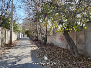 فروش باغچه در سعید آباد خیابان بهاران ، تهراندشت 