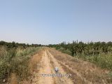 باغچه فرهودیه
