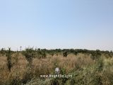 باغچه فرهودیه