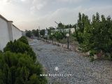 باغچه