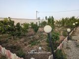 باغچه