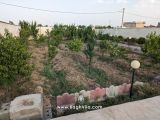 باغچه
