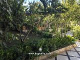 باغچه سر سبز و با صفا
