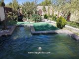 استخر و باغچه با صفا