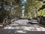 کوچه سنگ فرش و درخت