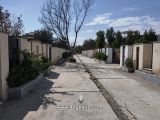 کوچه شهرک ویلایی